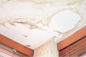 Southshore Painting Contractors - Addresses Water Damage Ahead of Time