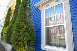 Exterior House Painting, South Shore Painting Contractors